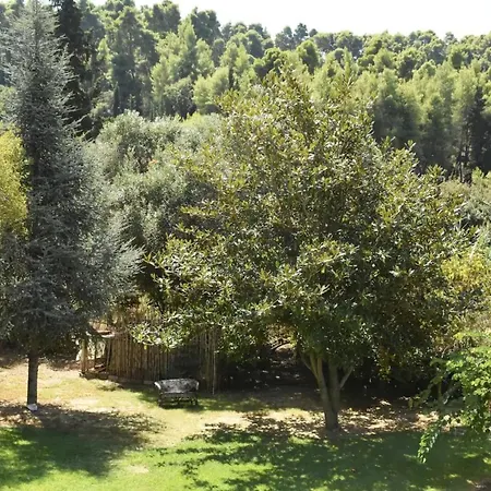 Round Family Near Ancient Olympia & The Sea Villa